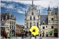 Mechelen, Belgium. Streets and flowers