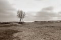 Mechelinki Meadows Nature Reserve, Poland Royalty Free Stock Photo