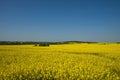 Mecklenburg landscape Royalty Free Stock Photo
