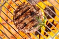 Medallion of meat grilling on barbecue grid
