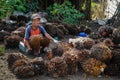 An Indonesian woman works on a small farm where palm oil is made from the fruit of the palm tree Royalty Free Stock Photo