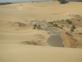 The Medanos de Coro Park