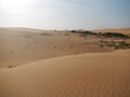 The Medanos de Coro Park