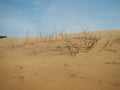 The Medanos de Coro Park