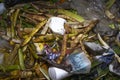 MedellÃÂ­n, Antioquia / Colombia. March 17, 2019. Garbage bin full of organic garbage. Royalty Free Stock Photo