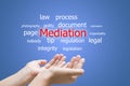 Mediation word cloud