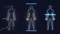 Analysis of Human Male Anatomy Scan on Futuristic Touch Screen Interface showing bones, organs, and neural network Royalty Free Stock Photo