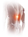 The back muscles showing pain Royalty Free Stock Photo