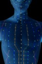 Medical acupuncture model of human on black