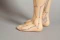 Medical acupuncture model of human feet