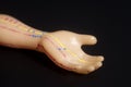 Medical acupuncture model of human hand Royalty Free Stock Photo