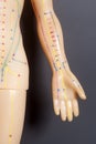 Medical acupuncture model of human hand on black Royalty Free Stock Photo