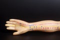 Medical acupuncture model of human hand on black Royalty Free Stock Photo