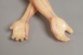 Medical acupuncture model of human hand on gray