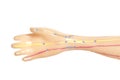 Medical acupuncture model of human hand Royalty Free Stock Photo