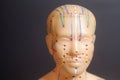 Medical acupuncture model of human head on black