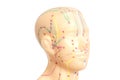Medical acupuncture model of human head Royalty Free Stock Photo
