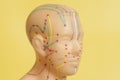 Medical acupuncture model of human head Royalty Free Stock Photo