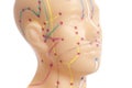 Medical acupuncture model of human