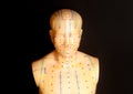 Medical acupuncture model of human torso Royalty Free Stock Photo