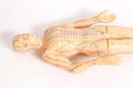 Medical acupuncture model of human Royalty Free Stock Photo