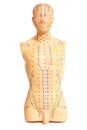 Medical acupuncture model of human on white Royalty Free Stock Photo