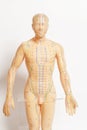 Medical acupuncture model of human on white Royalty Free Stock Photo