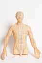 Medical acupuncture model of human on white Royalty Free Stock Photo