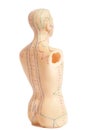 Medical acupuncture model of human on white background Royalty Free Stock Photo
