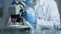 Medical analyst doing biochemical research of blood samples at his laboratory Royalty Free Stock Photo