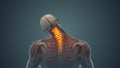 Medical animation for neck pain