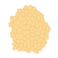 Medical background pattern. Fat tissue with yellow cells. Royalty Free Stock Photo