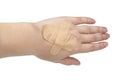 Medical big elastic plaster on woman hand isolated on the white background Royalty Free Stock Photo