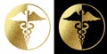 Medical caduceus logo