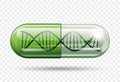 Medical capsule with a DNA molecule