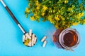 Medical capsules from natural St. John`s wort medicinal