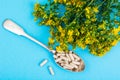 Medical capsules from natural St. John`s wort medicinal Royalty Free Stock Photo