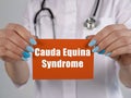 Medical concept about Cauda Equina Syndrome with phrase on the piece of paper