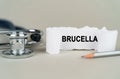 On a gray background, a stethoscope, a pencil and a paper plate with the inscription - Brucella