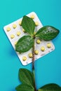 Medical concept. homeopathic medicine on a blue background. tablets with a green plant. empty space top view