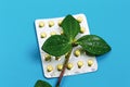 Medical concept. homeopathic medicine on a blue background. tablets with a green plant. empty space top view