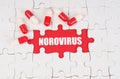 There are pills on the white puzzles, in the middle there is a red surface with the inscription - Norovirus