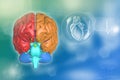Medical 3D illustration - human brain, intelligence discovery concept - detailed hi-tech texture or background Royalty Free Stock Photo