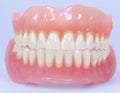 Medical denture jaws Royalty Free Stock Photo