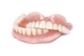 Medical denture Royalty Free Stock Photo