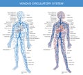 Medical description of the venous system of blood