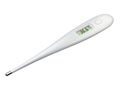 Medical digital thermometer Royalty Free Stock Photo