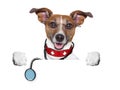 Medical doctor dog Royalty Free Stock Photo