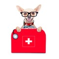 Medical doctor dog Royalty Free Stock Photo