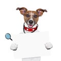 Medical doctor dog Royalty Free Stock Photo